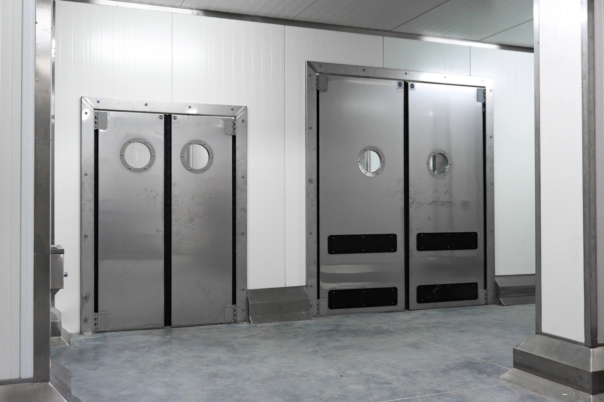 Жесткие маятниковые двери